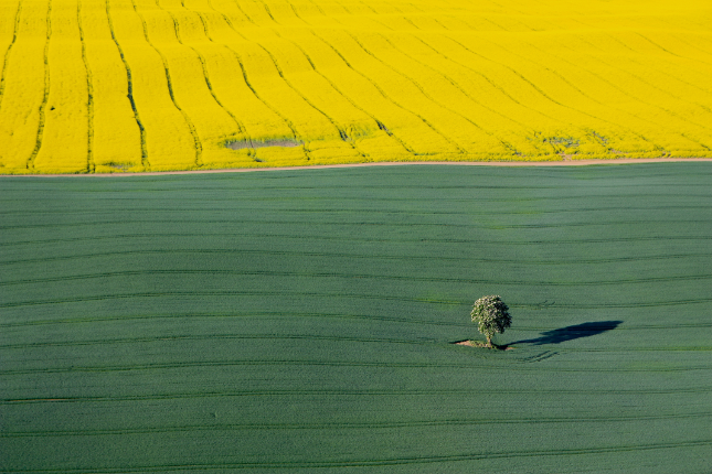 VIP skrydžiai grupėms nuo 900 eurų